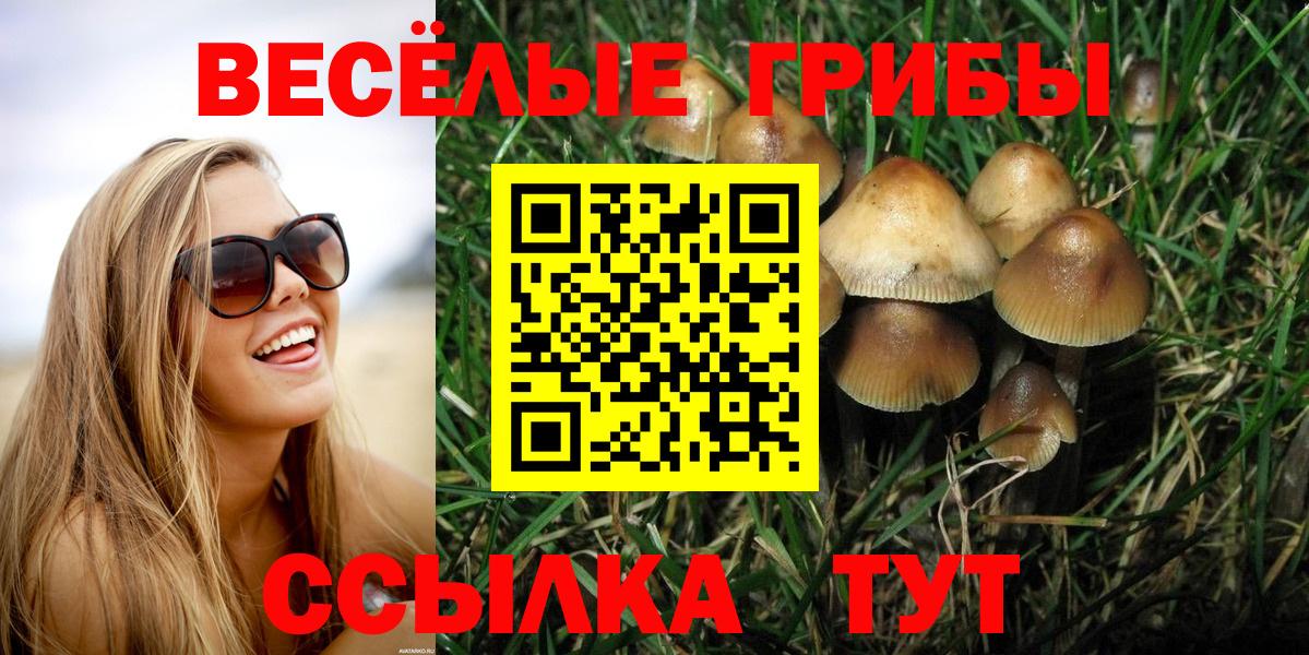 Псилоцибиновые грибы GOLDEN TEACHER  Вход с VPN  Галлюциногенные грибы ЛСД  Гусиноозёрск 